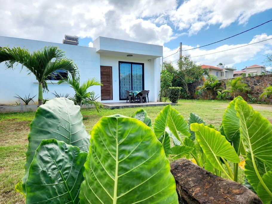 La Maison D'Isa Albion Exteriér fotografie